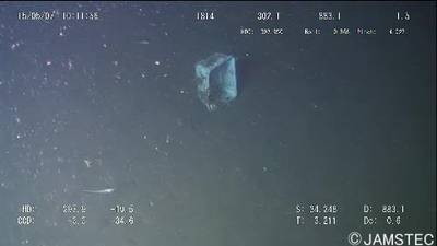 Sample image from Trash-ICRA19