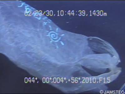 Sample image from Trash-ICRA19