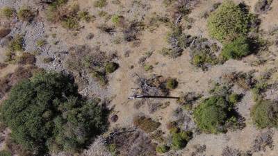 Sample image from Aerial Power Infrastructure