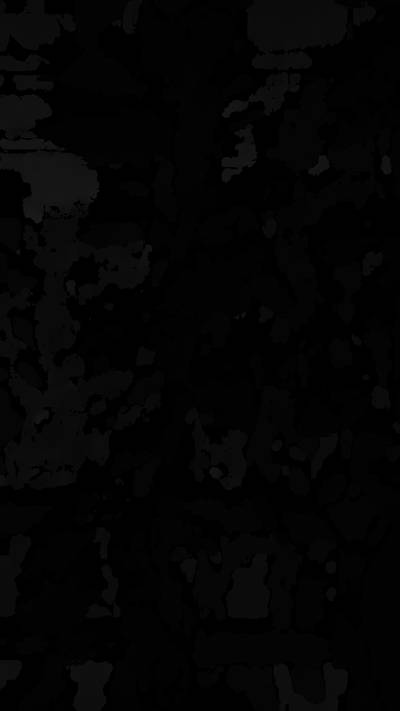 Sample image from BUP20