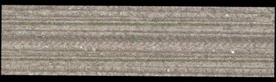 Sample image from Plant Detection and Counting