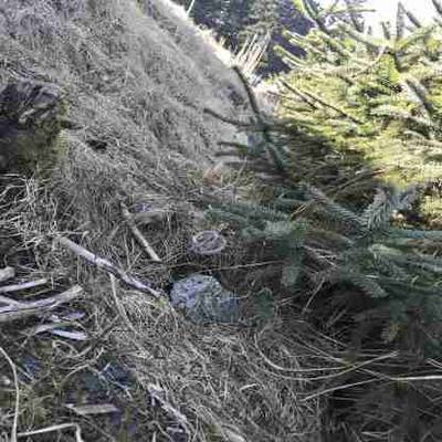 Sample image from AquaTrash