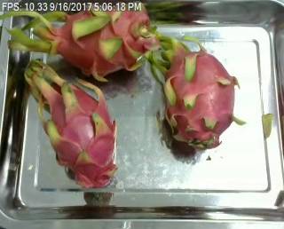 Sample image from Fruit Recognition