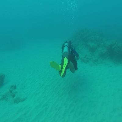 Sample image from SUIM