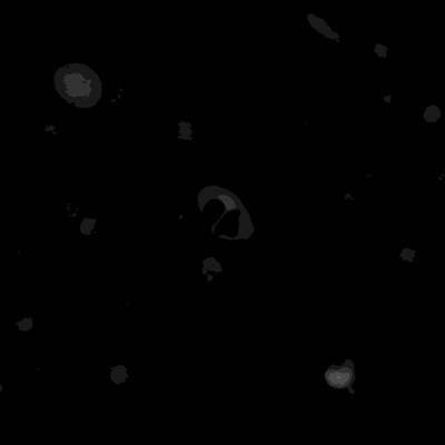 Sample image from Annotated Quantitative Phase Microscopy Cell