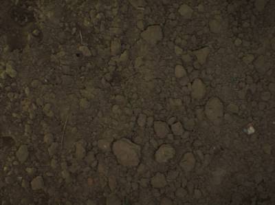 Sample image from Sugar Beets 2016