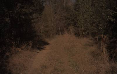 Sample image from CaSSeD: Real World Data