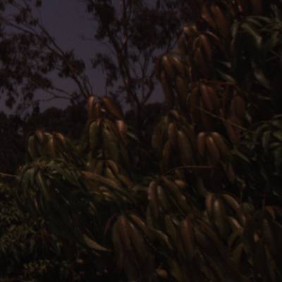 Sample image from ACFR