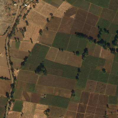 Sample image from DeepGlobe 2018 Road Extraction