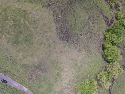 Sample image from Cattle Detection and Counting in UAV Images