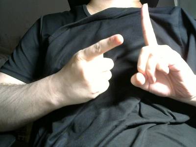 Sample image from Gesture v1.0