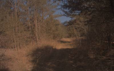 Sample image from CaSSeD: Real World Data