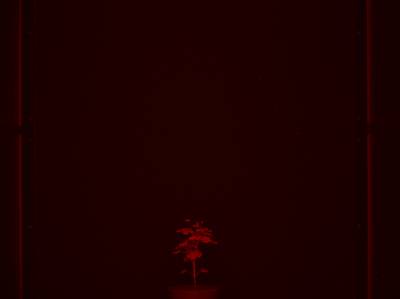 Sample image from CosegPP