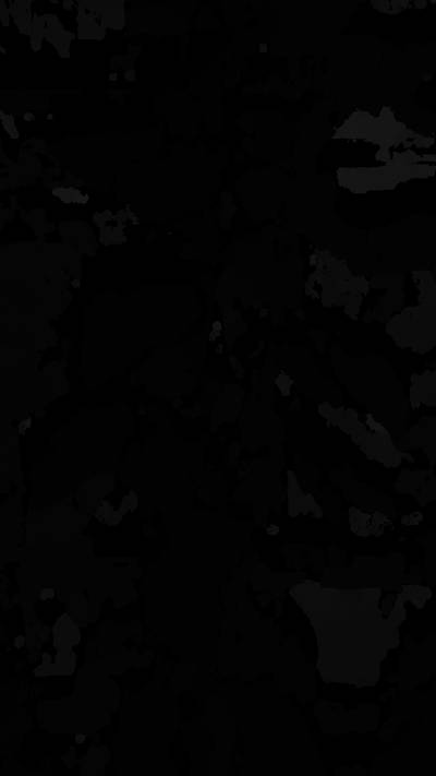 Sample image from BUP20