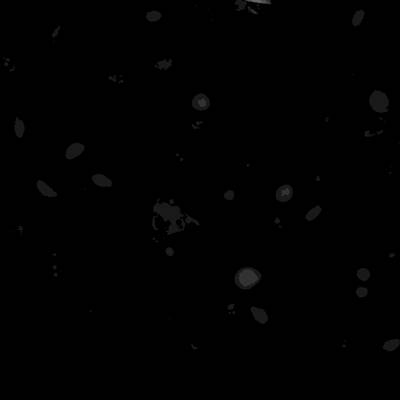Sample image from Annotated Quantitative Phase Microscopy Cell