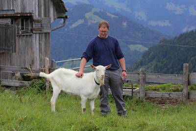 Sample image from Goat Image