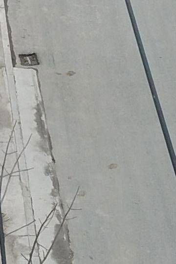 Sample image from PLD-UAV