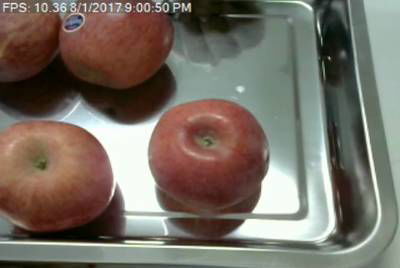 Sample image from Fruit Recognition