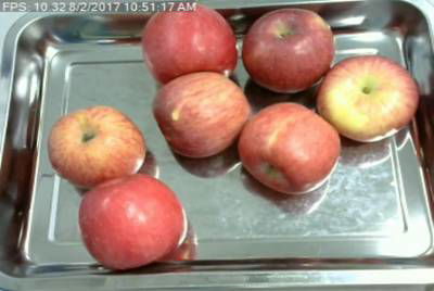 Sample image from Fruit Recognition