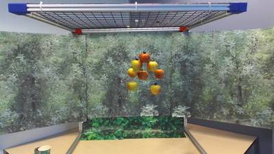 Sample image from Mini-Orchards