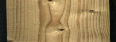 Sample image from Wood Defect Detection