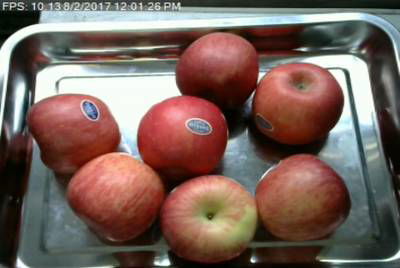 Sample image from Fruit Recognition