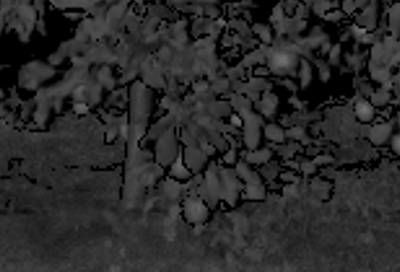 Sample image from KFuji RGB-DS