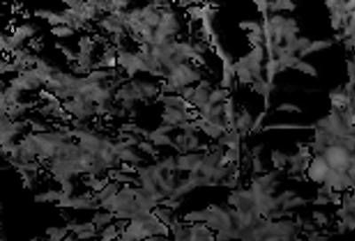 Sample image from KFuji RGB-DS