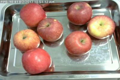 Sample image from Fruit Recognition