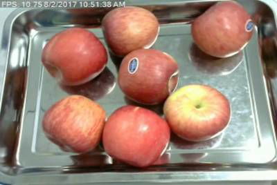 Sample image from Fruit Recognition