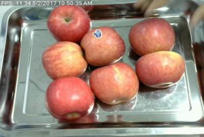 Sample image from Fruit Recognition