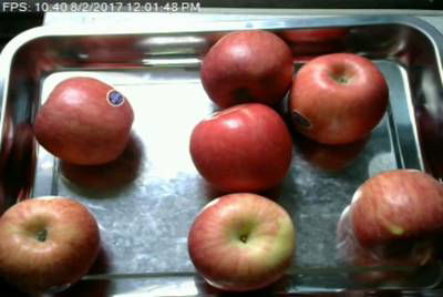 Sample image from Fruit Recognition