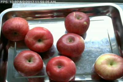 Sample image from Fruit Recognition