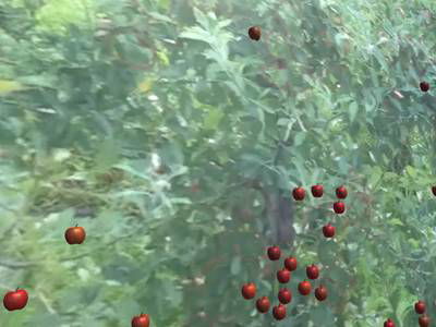 Sample image from Simulated-Orchards