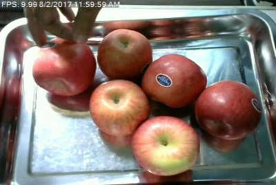 Sample image from Fruit Recognition