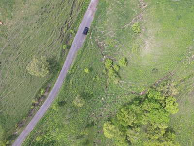 Sample image from Cattle Detection and Counting in UAV Images