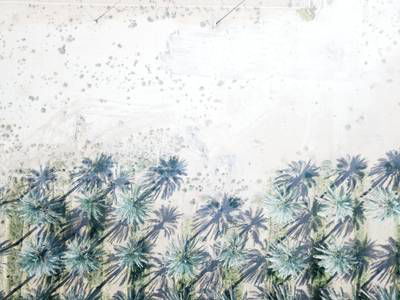 Sample image from Palm Trees