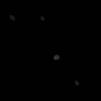 Sample image from Annotated Quantitative Phase Microscopy Cell