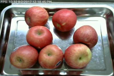 Sample image from Fruit Recognition