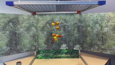 Sample image from Mini-Orchards