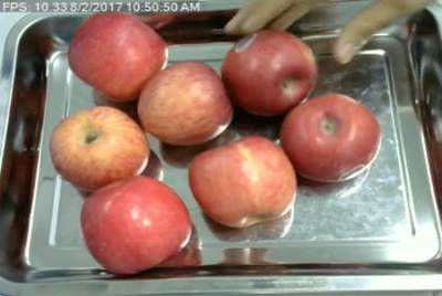 Sample image from Fruit Recognition